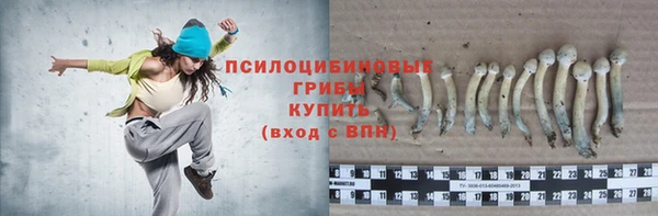 спиды Дмитров