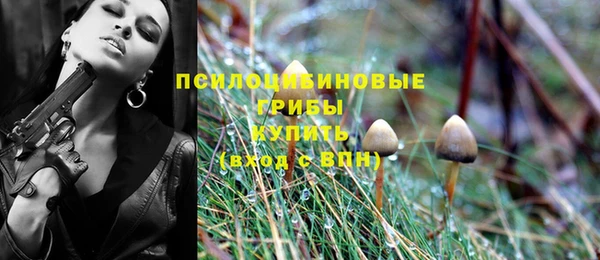 спиды Дмитров