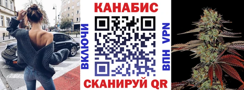 Шишки марихуана SATIVA & INDICA  MEGA tor  Каменка  где купить  